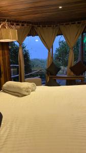 Dacnis tayrona glamping