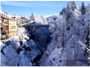 Appartements Nid Cosy - Appartement Atypique : photos des chambres