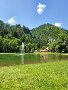 Appartements Nid Cosy - Appartement Atypique : photos des chambres