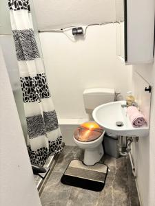 Andrei Ferienwohnung