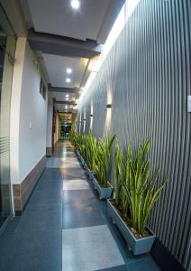 Aparthotel Costal Sol Tacna