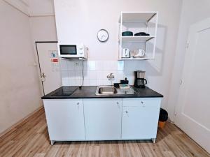 Flat in Zizkov -502-