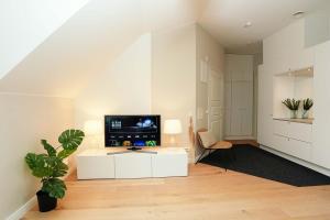 Bright & Modern Scandinavian Attic Suite in City Center