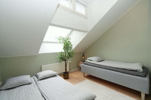 Bright & Modern Scandinavian Attic Suite in City Center