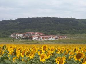 Harmony Hills Tomovi Apartment B21