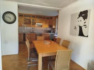 VILA RUŽA - Grand apartman 2 - Sokobanja