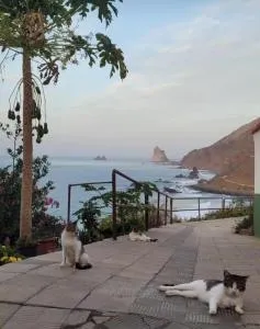 Casa Manolo acceso playa - mountain trails - Taganana