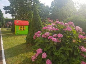 Słoneczny Zakątek Ustka-Przewłoka