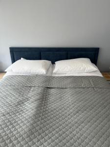 Apartamenty Amon Darłówek Emilia Strupiechowska