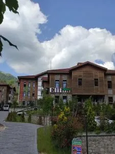 Ayder Elif Apart Daire - Yusufeli