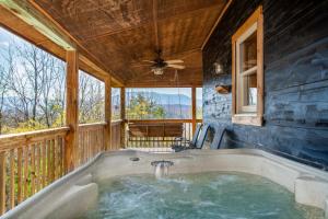 Bear Claw Hideaway View Hot Tub LifeSize Games