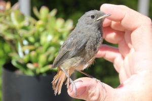 Maisons d'hotes Le Hameau Fleur de Pierres , Chambre , Gite et Table d'Hotes : photos des chambres