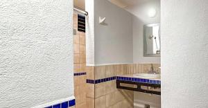 Hostal CASA MX quinta avenida