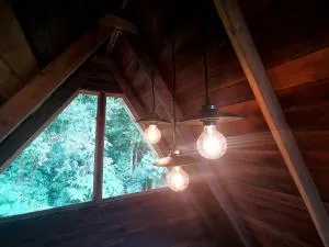 Armonía del Bosque - Estrella