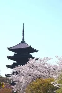 Stay SAKURA Kyoto TSUBAKI - Kami-Toba