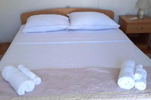 Seaside secluded apartments Cove Bristova, Hvar - 24165