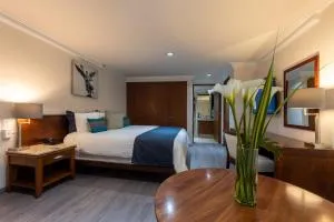 方尖碑套房酒店 - 墨西哥城 方尖碑套房酒店 - 墨西哥城