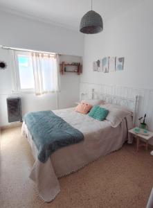 El Monoambiente de la Colo