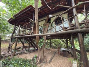 Ecocentro Brasil - Bangalô Flamboyant