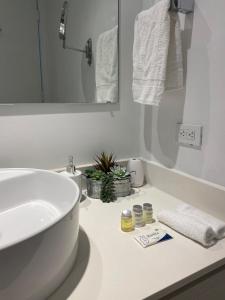 Amazing Studio Cozy at the Beach close to Mall