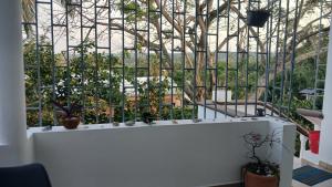 Kassuky Home
