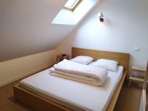 Appartement spacieux au centre de Cauterets, 6 pers., skis et parking - FR-1-812-46