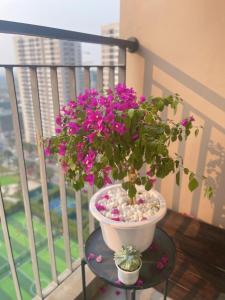 1 Bedroom Apartment in Vinhomeoceanpark1