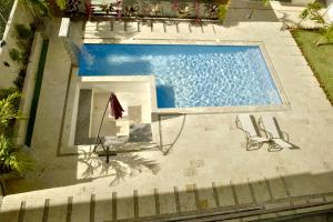 Best Friends Hoyo Cacao