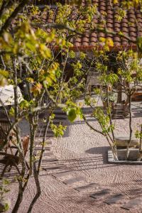 KỲ VIÊN Home & Cafe