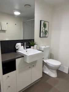 The Perfect Host @ Curtis Apartments