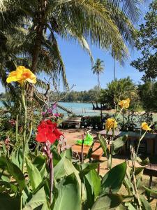 Sand and Sea Koh Kood