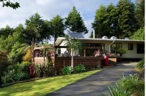 The Tree House - 卡塔尼