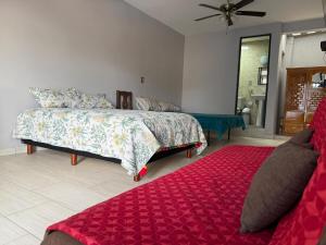 El Rinconcito Oaxaca - HiveNB