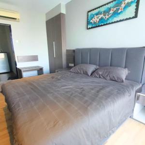 cozy comfortable apartment