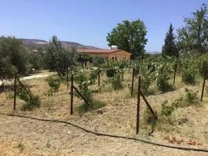 Pervolaris Cottages 1 - Goudhi