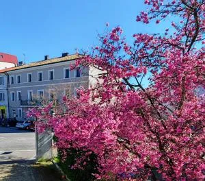 Alloggi Tosca Suite dei Legionari - Pieris