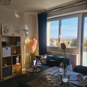 Appartements Studio KAAN avec terasse 5mn Basel Airport : photos des chambres