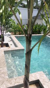 Villa Koh Mzé, 2 bedrooms with peaceful pool