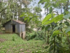 Tindinyo Falls Resort