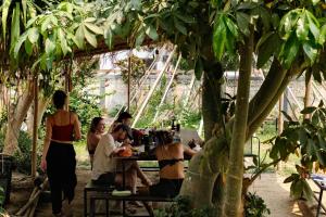 Social Garden Hostel