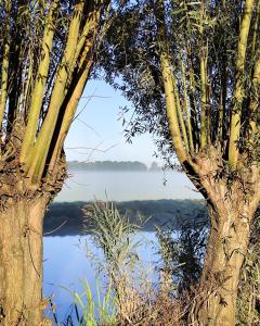 Voedselbos Camping Koperwiek