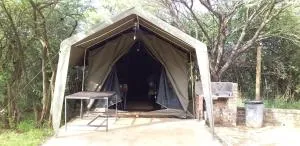 My Bush Camp - Rust de Winter