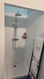 B&B / Chambres d'hotes La villa des figuiers : photos des chambres