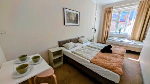 Flat in Zizkov -401-