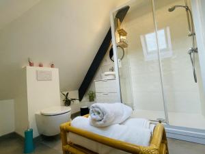 B&B / Chambres d'hotes Manoir de la Houlette : photos des chambres