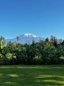 Shose Farmhouse Chalets & Campsite - Shiri