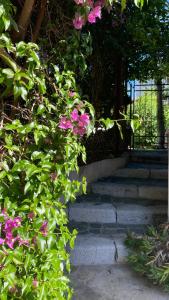 une pépite ZEN et COSY, parking jardin, idéal pour se ressourcer au calme