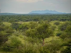 Ndefu Self Catering Accommodation - Outjo