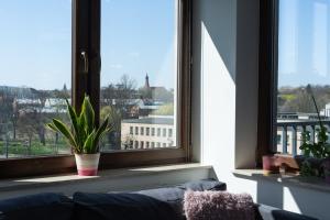 Grzegórzki Comfy Apartment