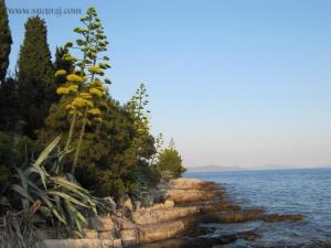 Studio apartment in Sucuraj with sea view, balcony, air conditioning, WiFi 3560-4